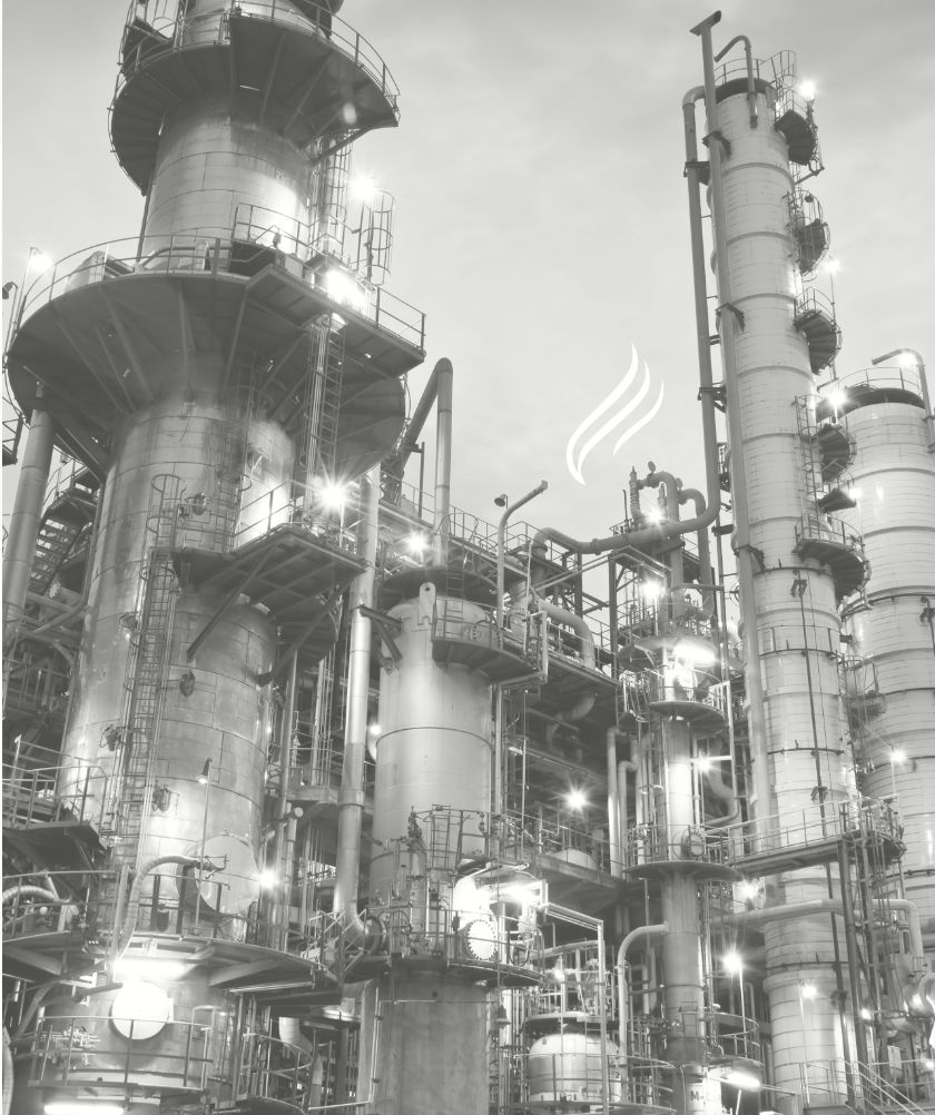 Petrochemical Industrial Sector